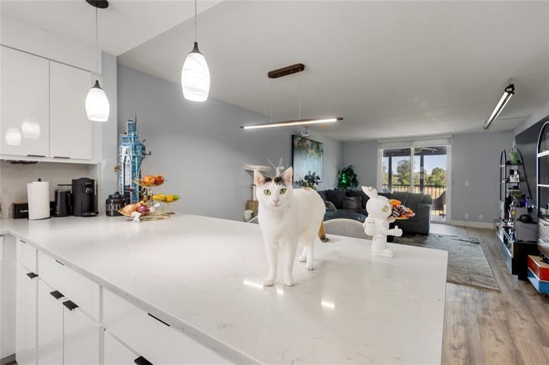 5500 NW 2nd Ave, Unit 316, Boca Raton, FL 33487 Photo