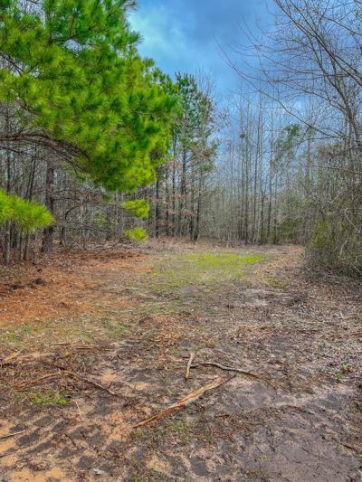 Tbd Mistletoe Rd, Gilmer, TX 75644 Main Photo