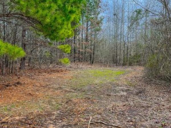 TBD Mistletoe Rd, Gilmer, TX 75644