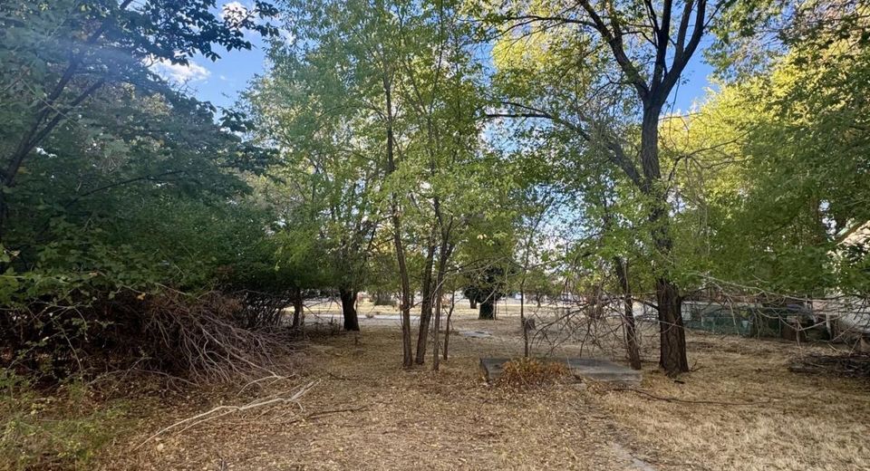 611 E Proctor Street, Carson City, NV 89701 Photo