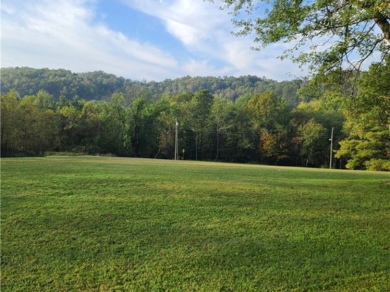 2709 CR 11, Dillonvale, OH 43917 Photo 48