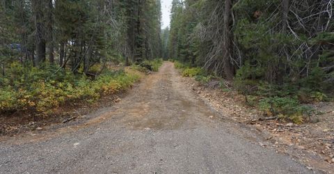 1391 Fern Drive, Bucks Lake, CA 95956 Photo