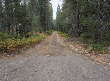 1391 Fern Drive, Bucks Lake, CA 95956 Photo