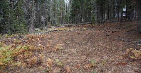 1391 Fern Drive, Bucks Lake, CA 95956 Photo