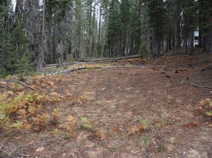 1391 Fern Drive, Bucks Lake, CA 95956 Photo