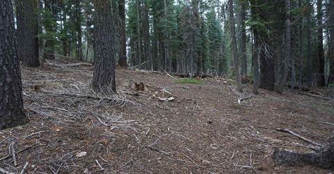 1391 Fern Drive, Bucks Lake, CA 95956 Photo