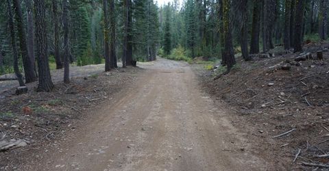 1391 Fern Drive, Bucks Lake, CA 95956 Photo