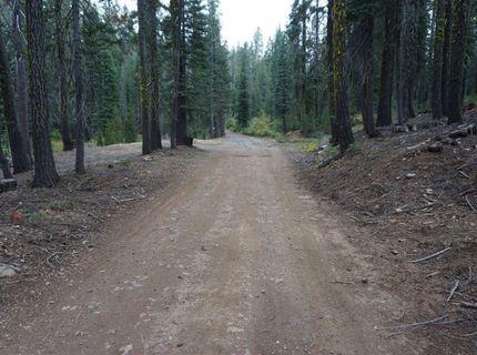1391 Fern Drive, Bucks Lake, CA 95956 Photo