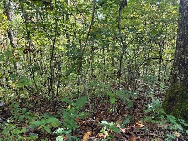 H16-H17 Shady Grove Road, Tuckasegee, NC 28783