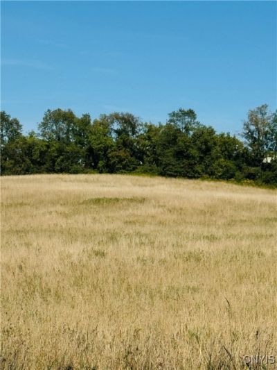 Lot 4c Carpenter Avenue, Groton, NY 13073 Main Photo