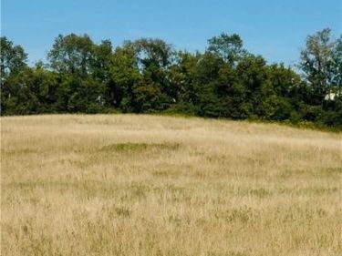 LOT 4C Carpenter Avenue, Groton, NY 13073