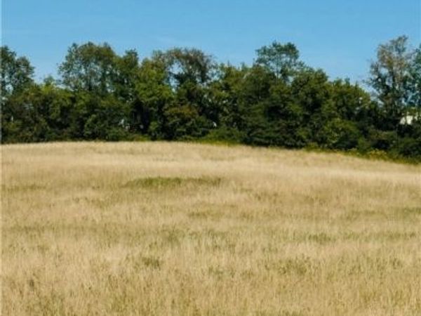 LOT 4C Carpenter Avenue, Groton, NY 13073