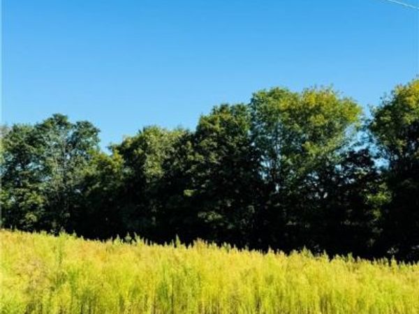 Lot 4D Carpenter Avenue, Groton, NY 13073