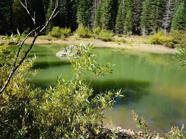 1388 Dogwood Drive, Bucks Lake, CA 95956