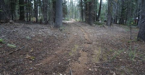 1388 Dogwood Drive, Bucks Lake, CA 95956 Photo