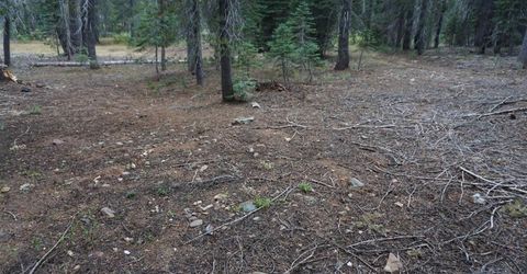 1388 Dogwood Drive, Bucks Lake, CA 95956 Photo
