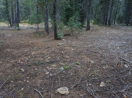 1388 Dogwood Drive, Bucks Lake, CA 95956 Photo