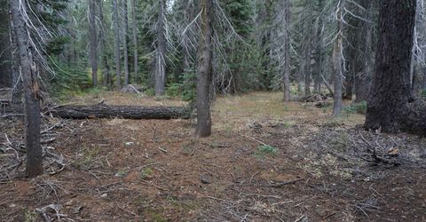 1388 Dogwood Drive, Bucks Lake, CA 95956 Photo