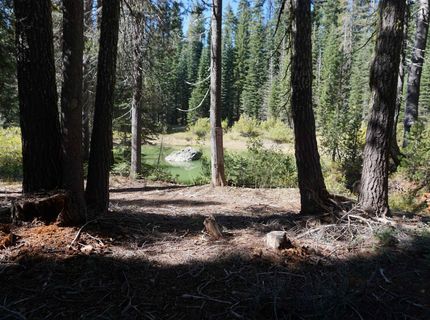 1388 Dogwood Drive, Bucks Lake, CA 95956 Photo