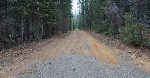 1388 Dogwood Drive, Bucks Lake, CA 95956 Photo