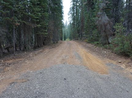 1388 Dogwood Drive, Bucks Lake, CA 95956 Photo