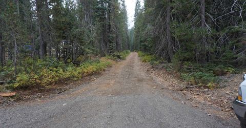 1388 Dogwood Drive, Bucks Lake, CA 95956 Photo