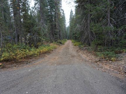 1388 Dogwood Drive, Bucks Lake, CA 95956 Photo