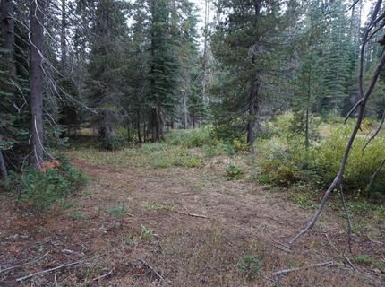 1388 Dogwood Drive, Bucks Lake, CA 95956 Photo