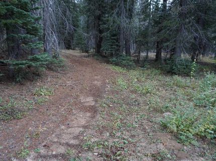 1388 Dogwood Drive, Bucks Lake, CA 95956 Photo