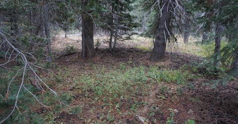 1388 Dogwood Drive, Bucks Lake, CA 95956 Photo