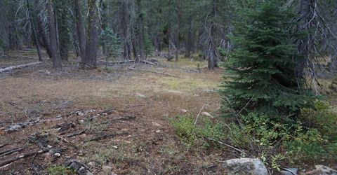 1388 Dogwood Drive, Bucks Lake, CA 95956 Photo