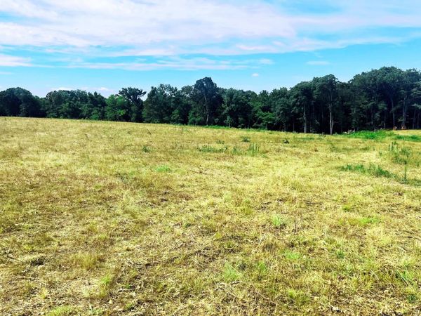 Tbd Farm Road 1040 , Exeter, MO 65647