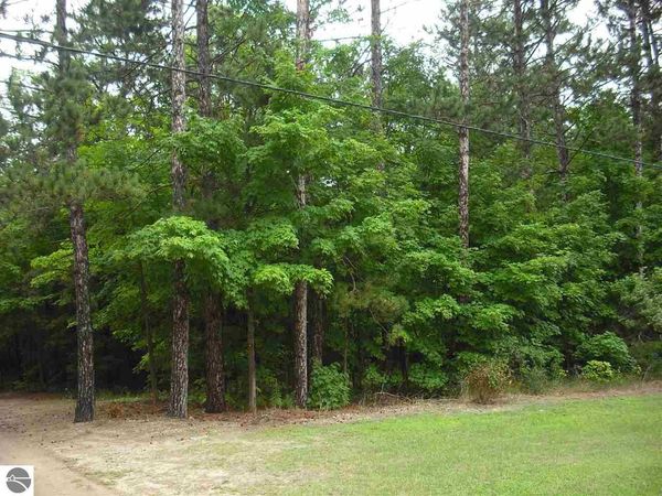 3 Jackson Creek Road, Kingsley, MI 49649