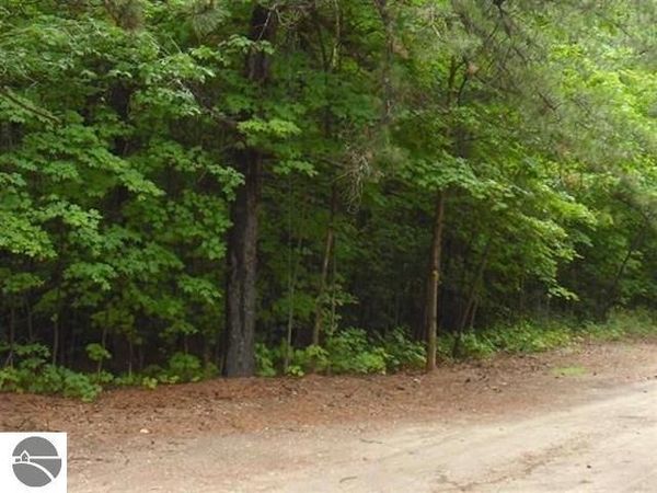 4 Jackson Creek Road, Kingsley, MI 49649