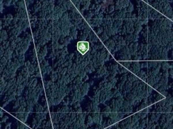 1160 DAY ROAD, SYKESVILLE, MD 21784