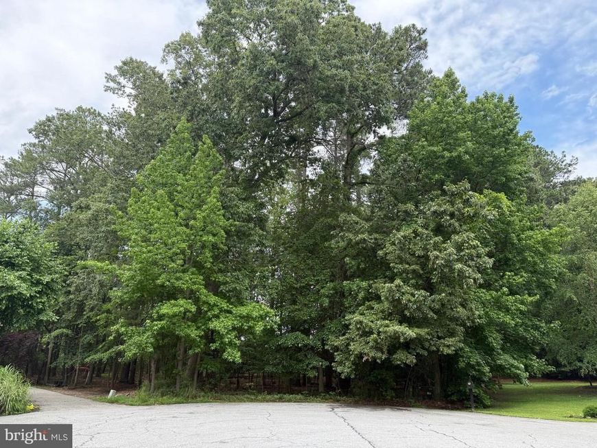 14680 Bar Harbor Court, Issue, MD 20645 Main Photo