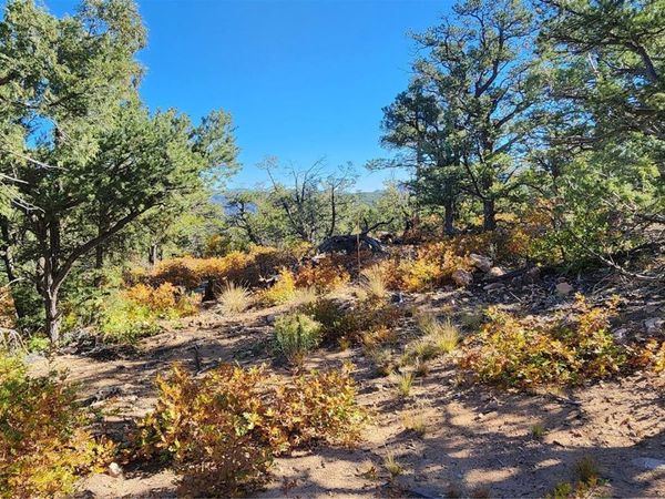 TBD L 42nd Trail, Cotopaxi, CO 81223