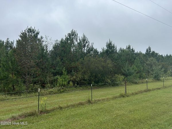 10.6 Crooked Run Road, Willard, NC 28478