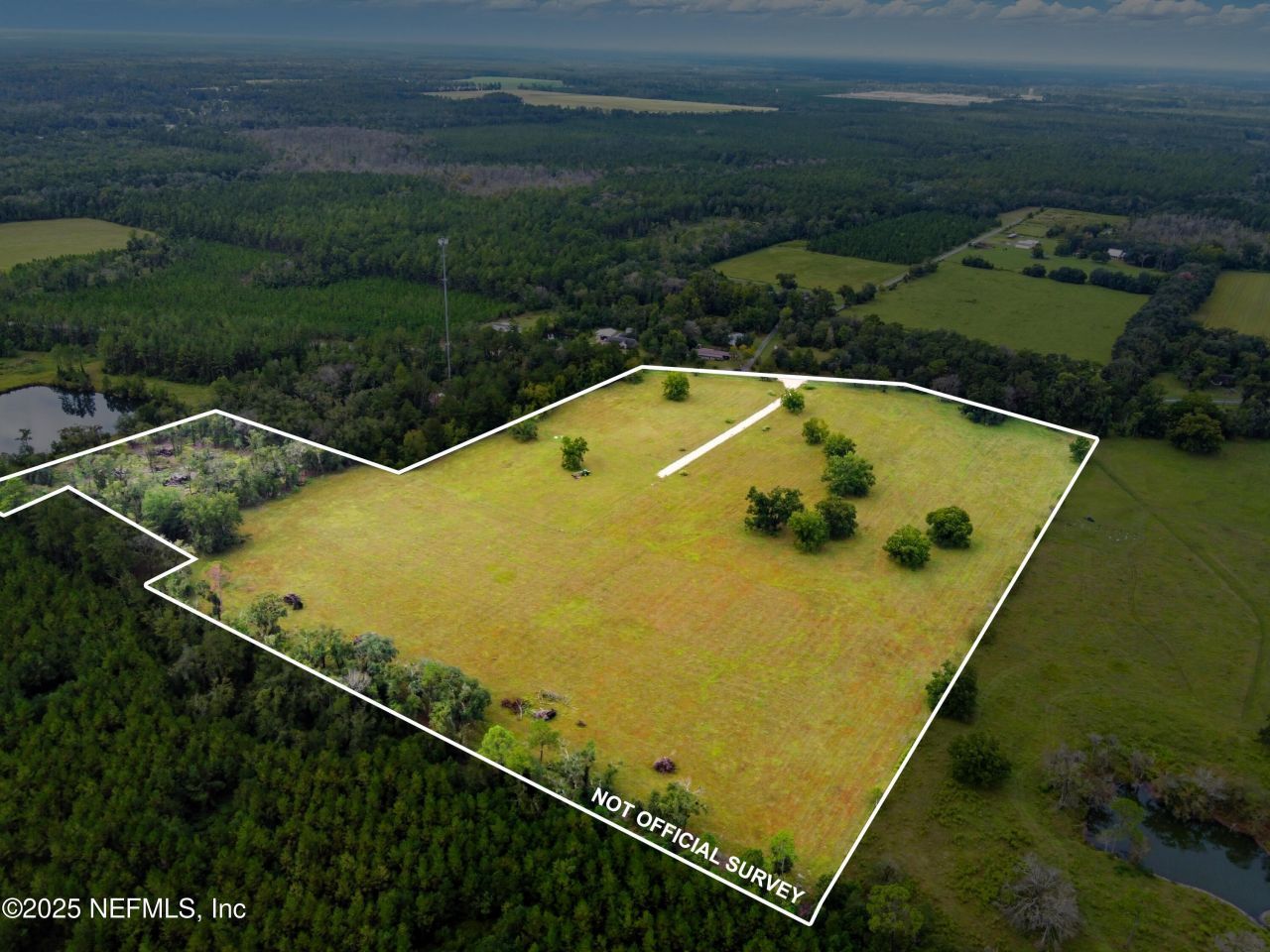 11242 Hogan Road, Live Oak, FL 32060 Photo