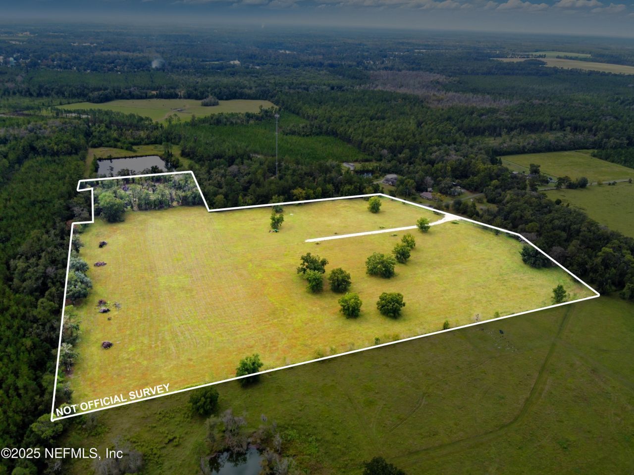 11242 Hogan Road, Live Oak, FL 32060 Photo