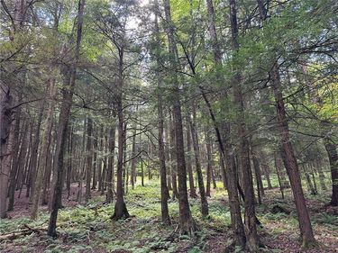 848 Ouaquaga Road, Windsor, NY 13865