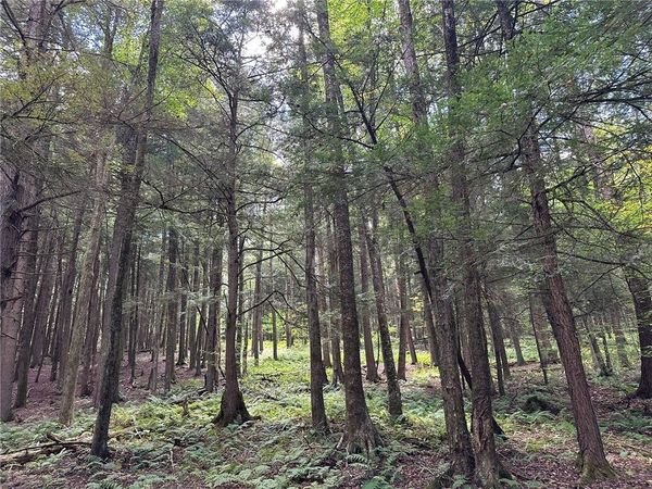 848 Ouaquaga Road, Windsor, NY 13865