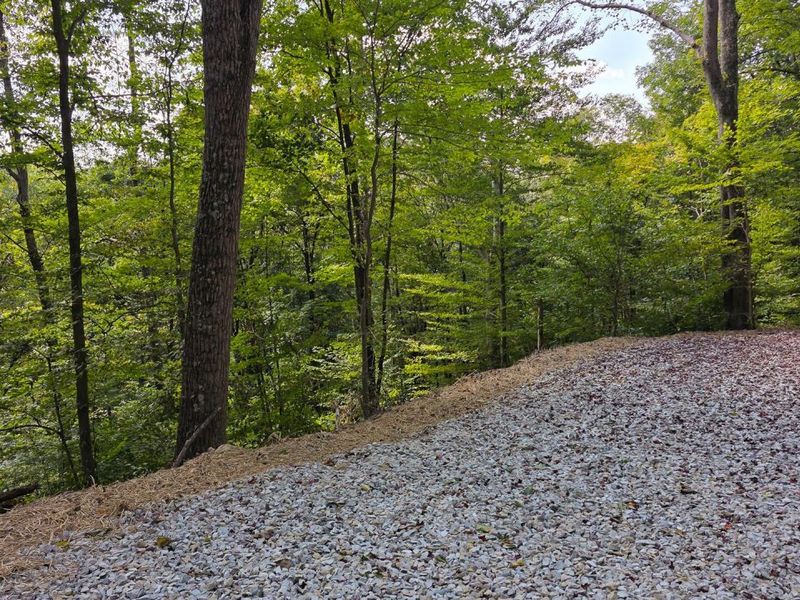 0 Tucker Road, Unit (Tract D a, New Straitsville, OH 43766 Photo 12