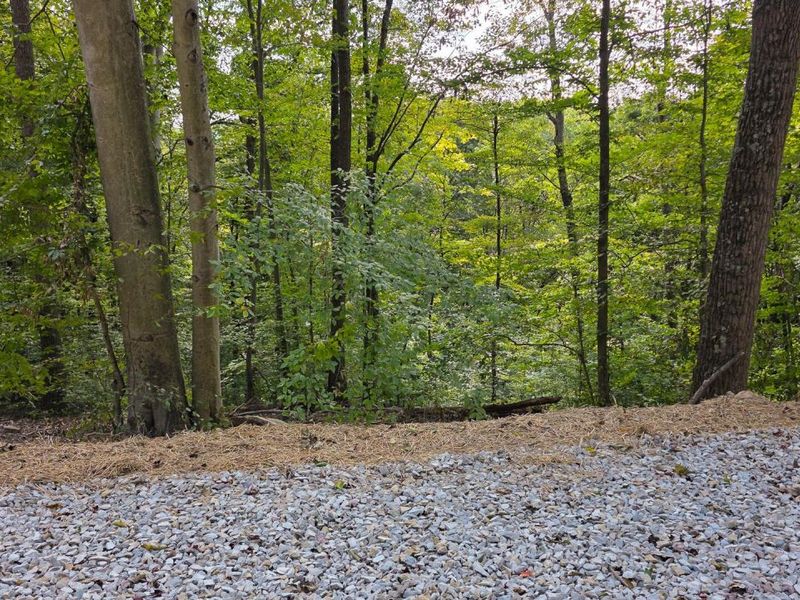 0 Tucker Road, Unit (Tract D a, New Straitsville, OH 43766 Photo 13