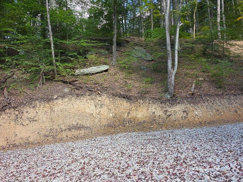 0 Tucker Road, Unit (Tract D a, New Straitsville, OH 43766 Photo 15