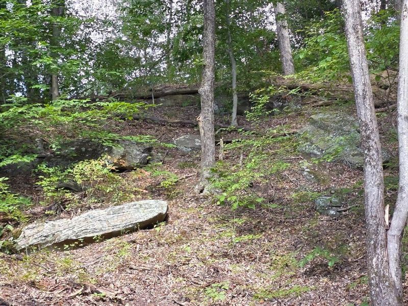 0 Tucker Road, Unit (Tract D a, New Straitsville, OH 43766 Photo 16