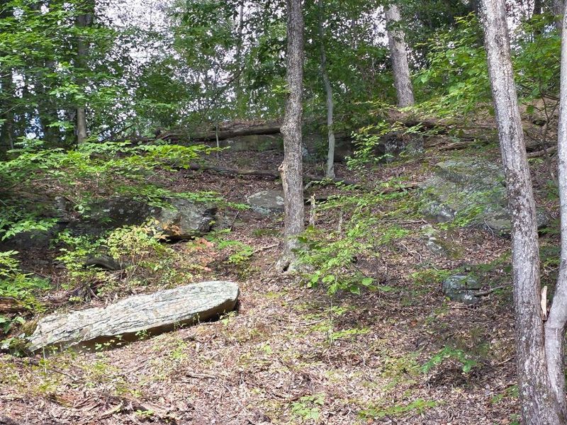 0 Tucker Road, Unit (Tract D a, New Straitsville, OH 43766 Photo 17