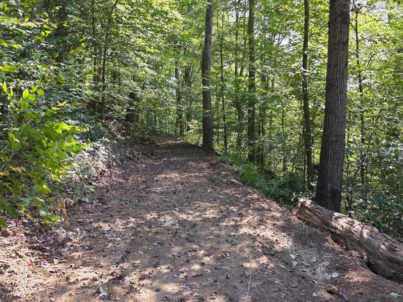 0 Tucker Road, Unit (Tract D a, New Straitsville, OH 43766 Photo 18