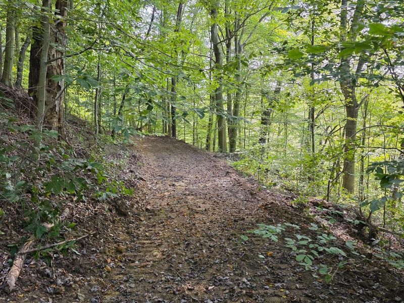 0 Tucker Road, Unit (Tract D a, New Straitsville, OH 43766 Photo 19