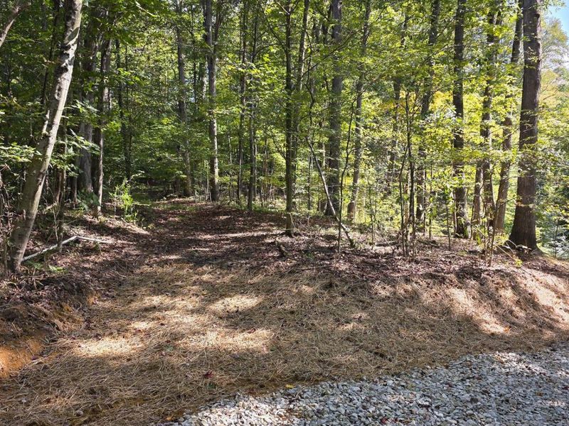 0 Tucker Road, Unit (Tract D a, New Straitsville, OH 43766 Photo 2